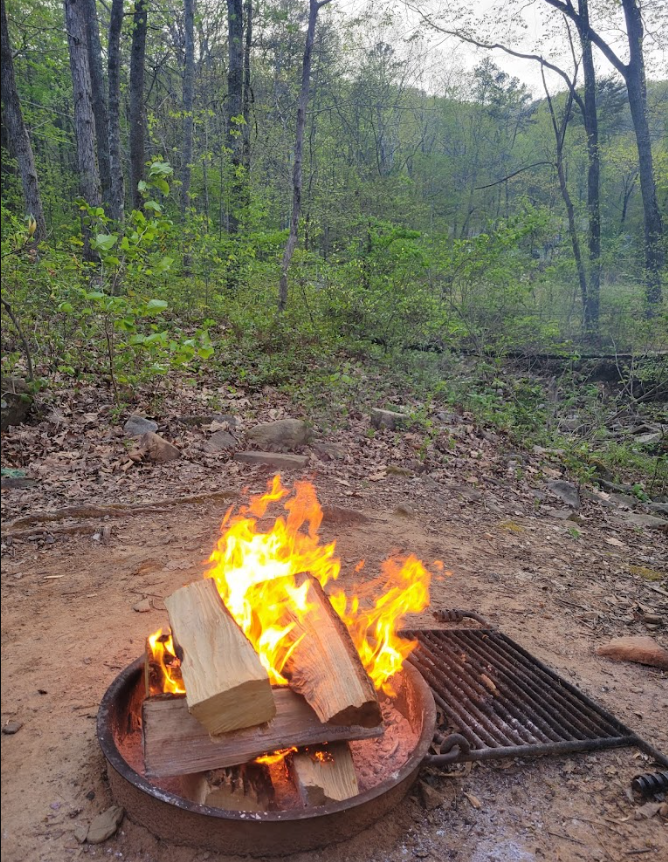 Raccoon Mountain Caverns & Campground