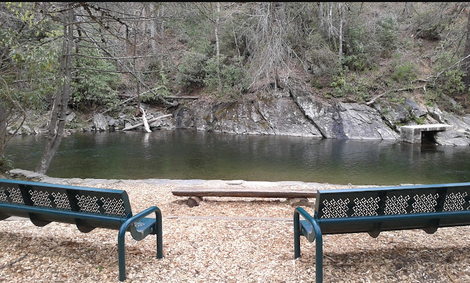 Davidson River Campground
