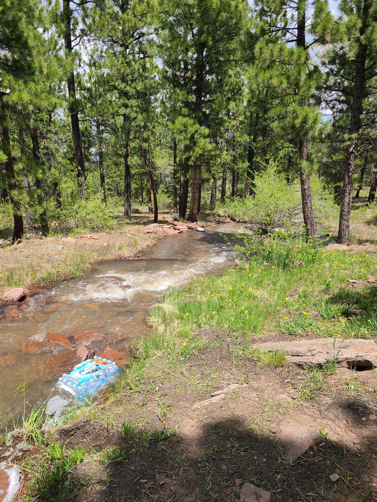 Skull Creek Campground