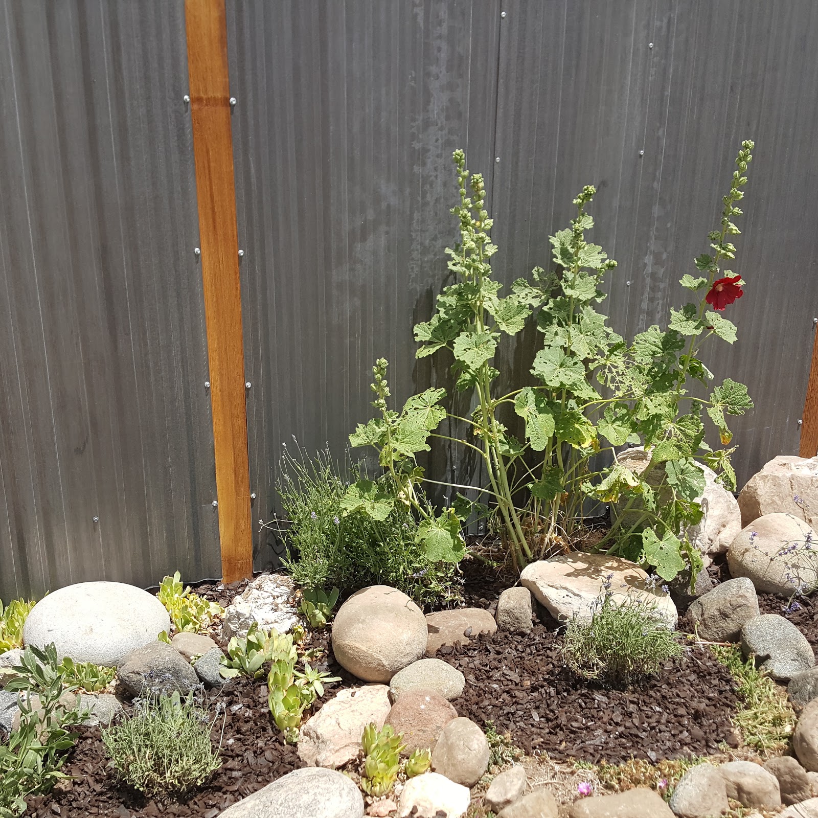 Sugarbush Store and Campground