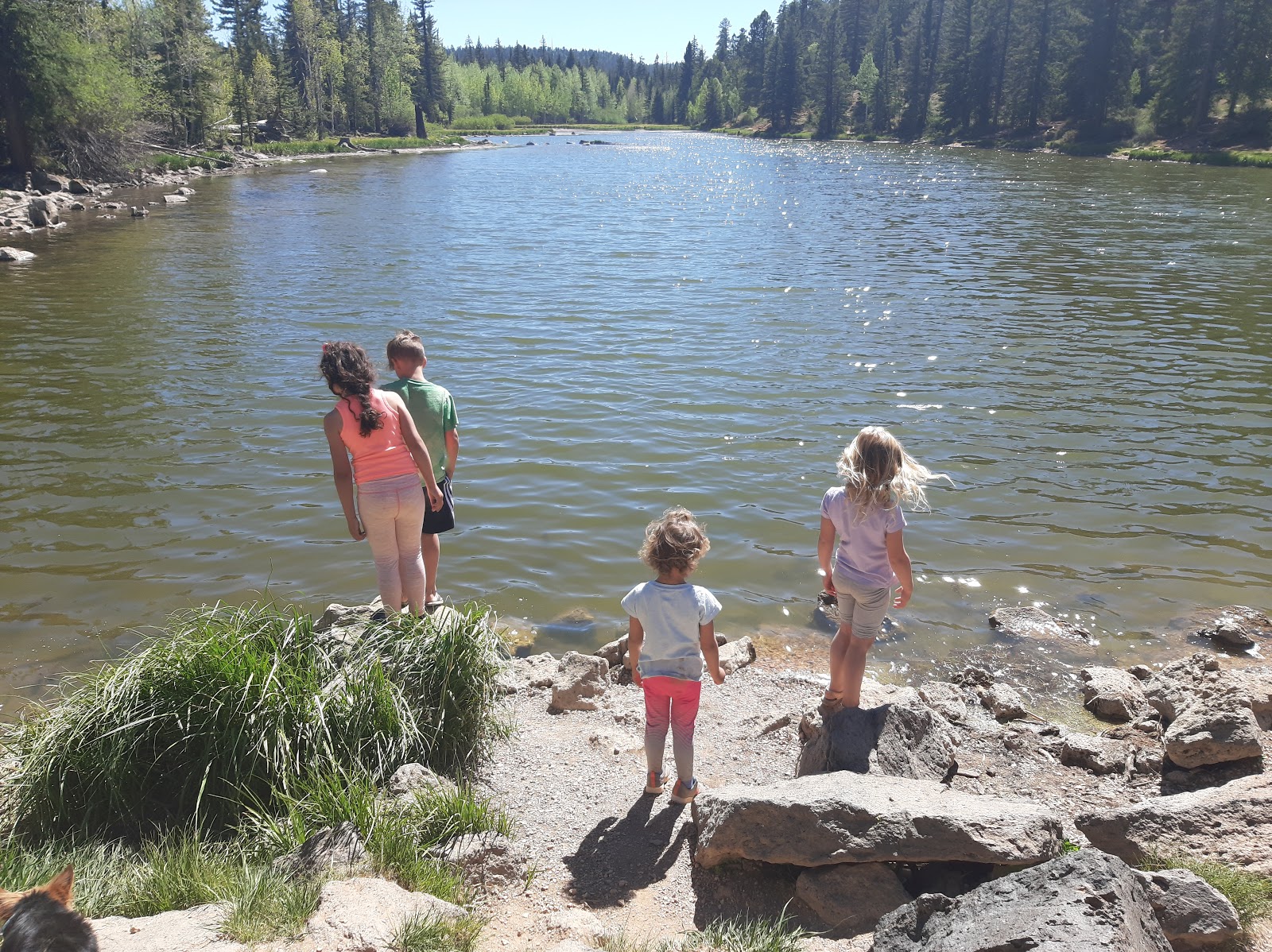 Aspen Court RV Spaces