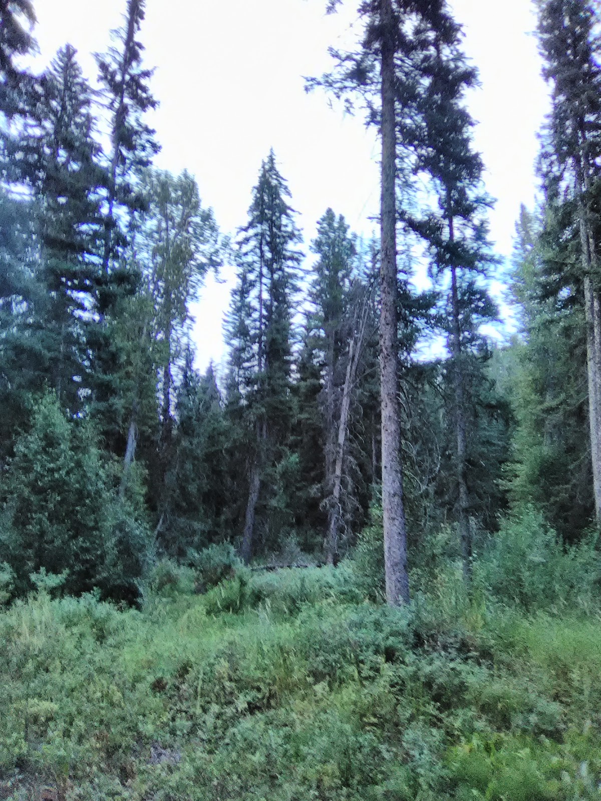 Stony Creek Campground