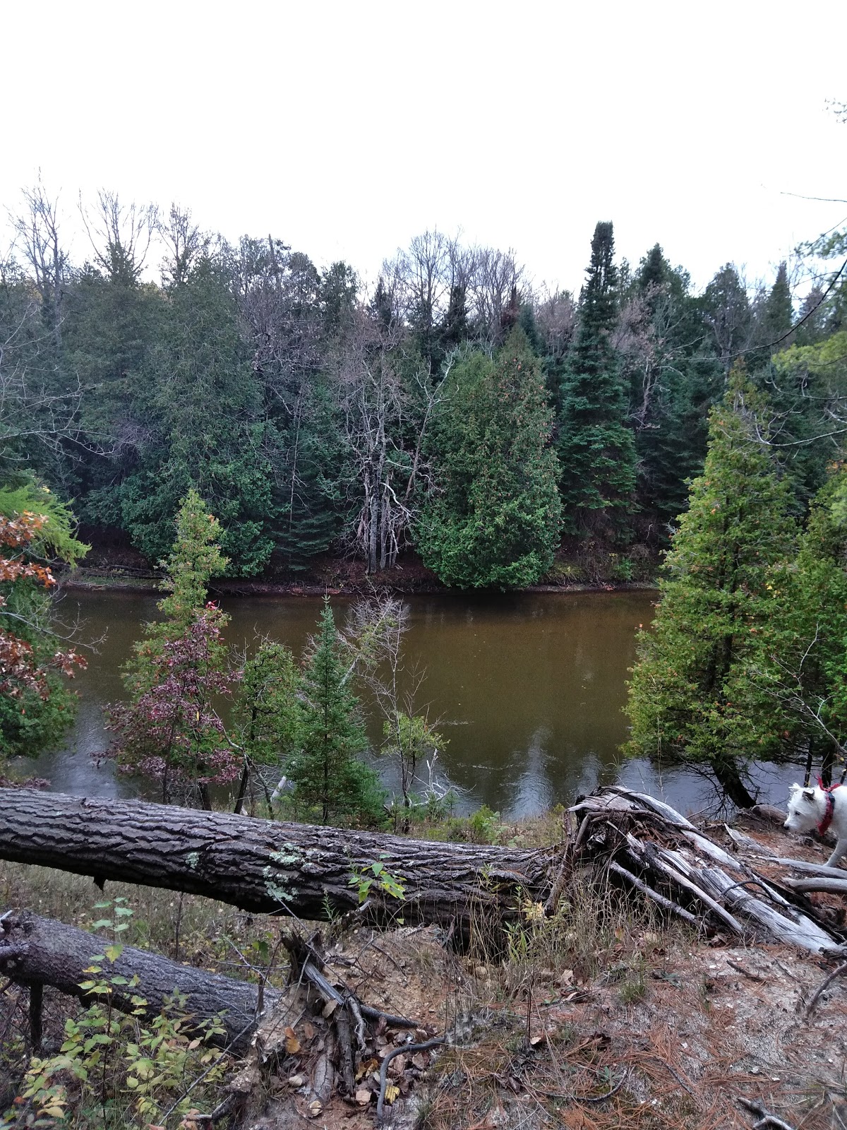 Old US 131 SF Campground