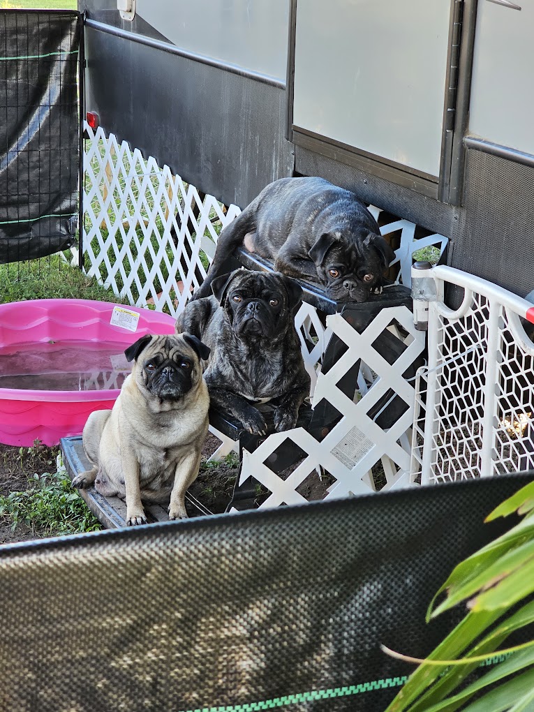 Sonrise Village RV Resort