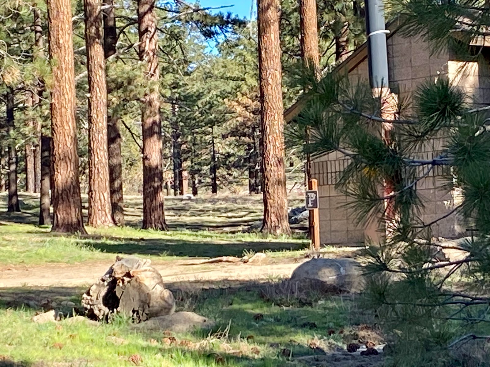 Tool Box Spring Campgorund