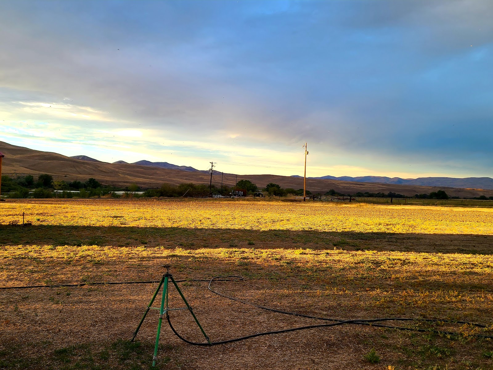 Oasis RV Park & Campground