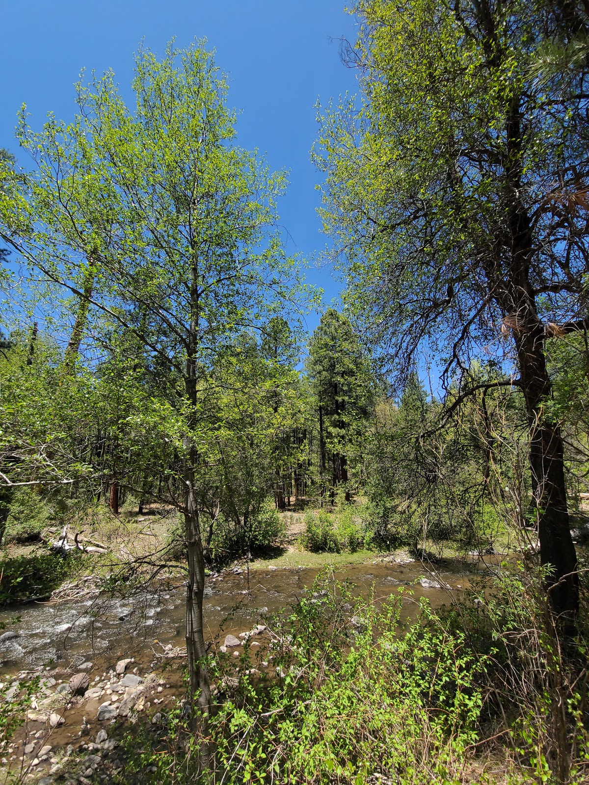 Upper Log Campground