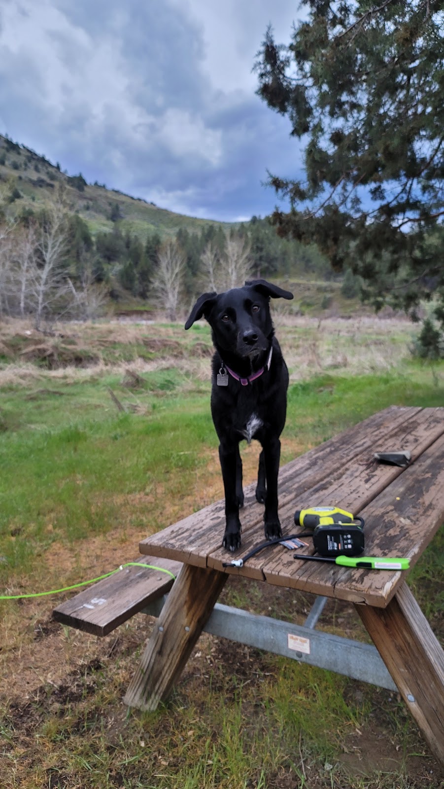 Lone Pine John Day River Campground