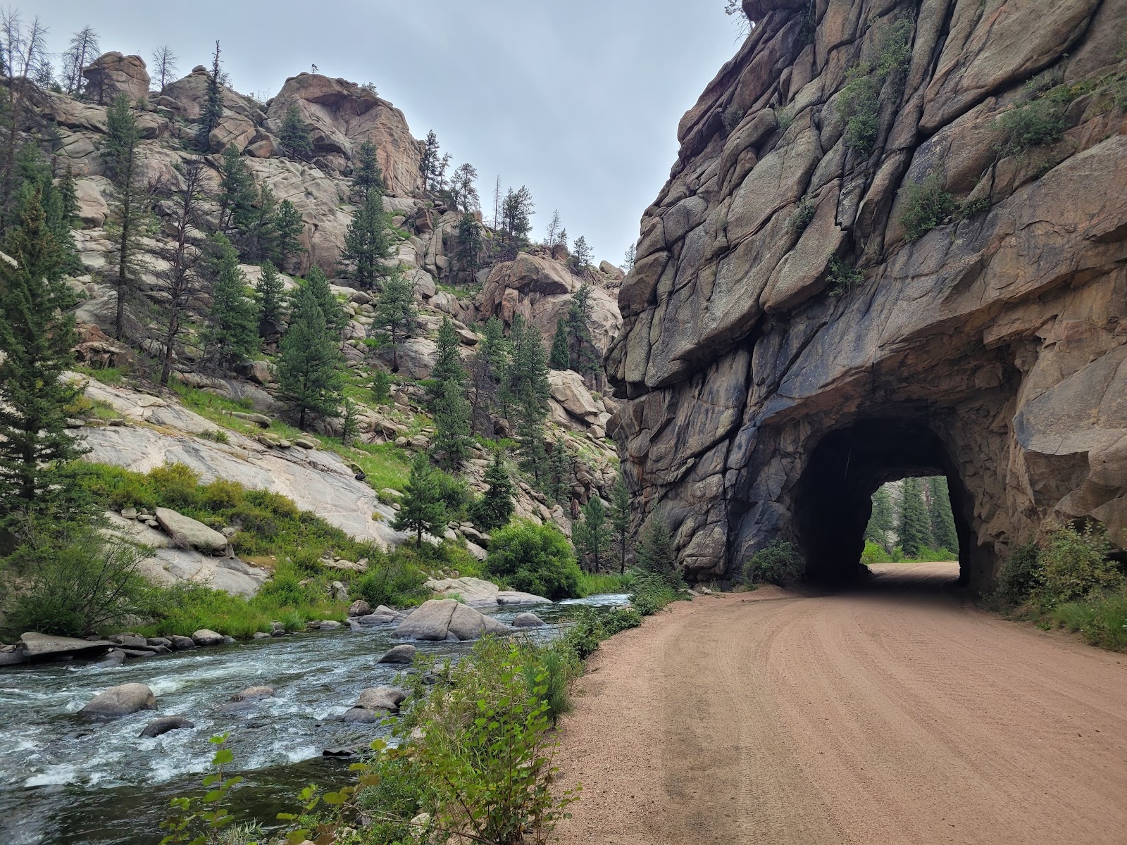 Springer Gulch Campground