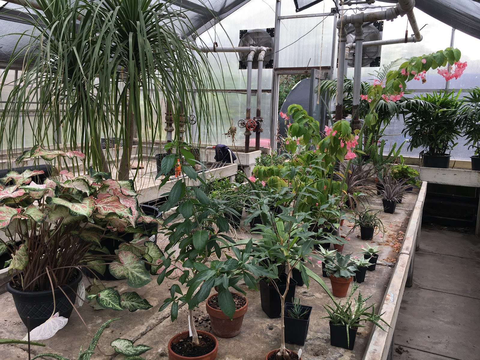 Kilbourn Park & Organic Green House