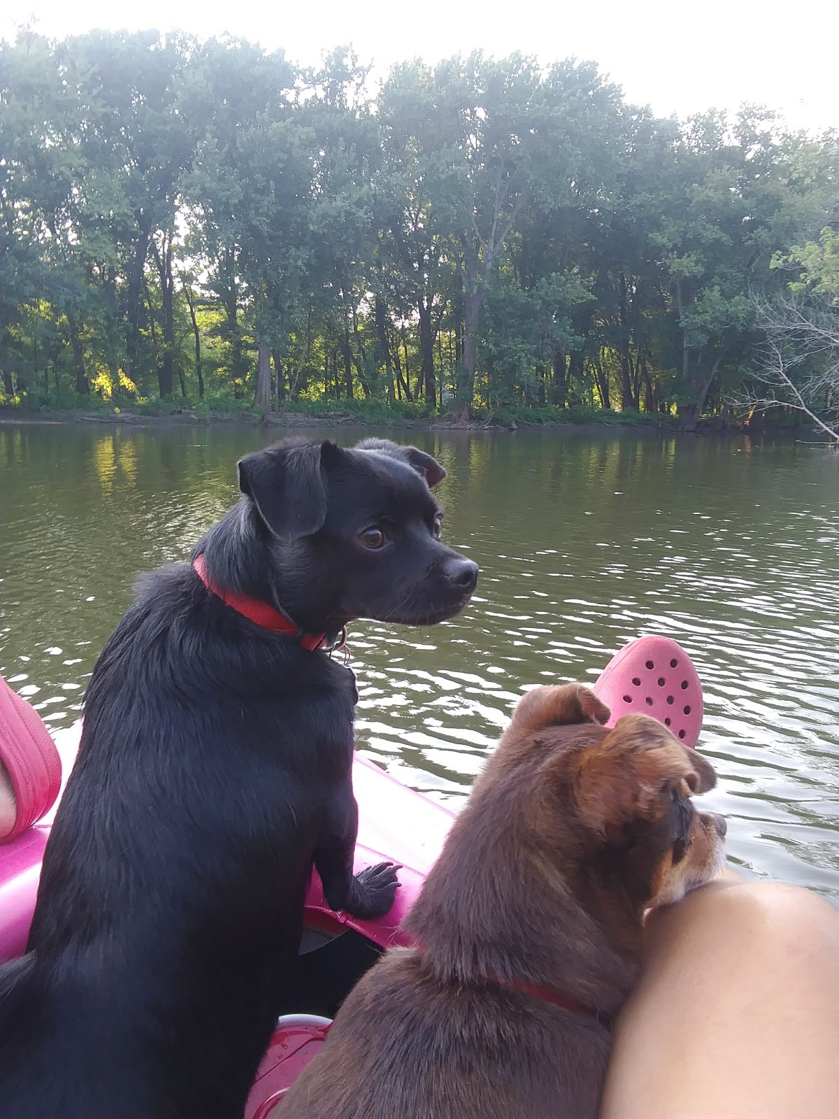 Big River State Forest