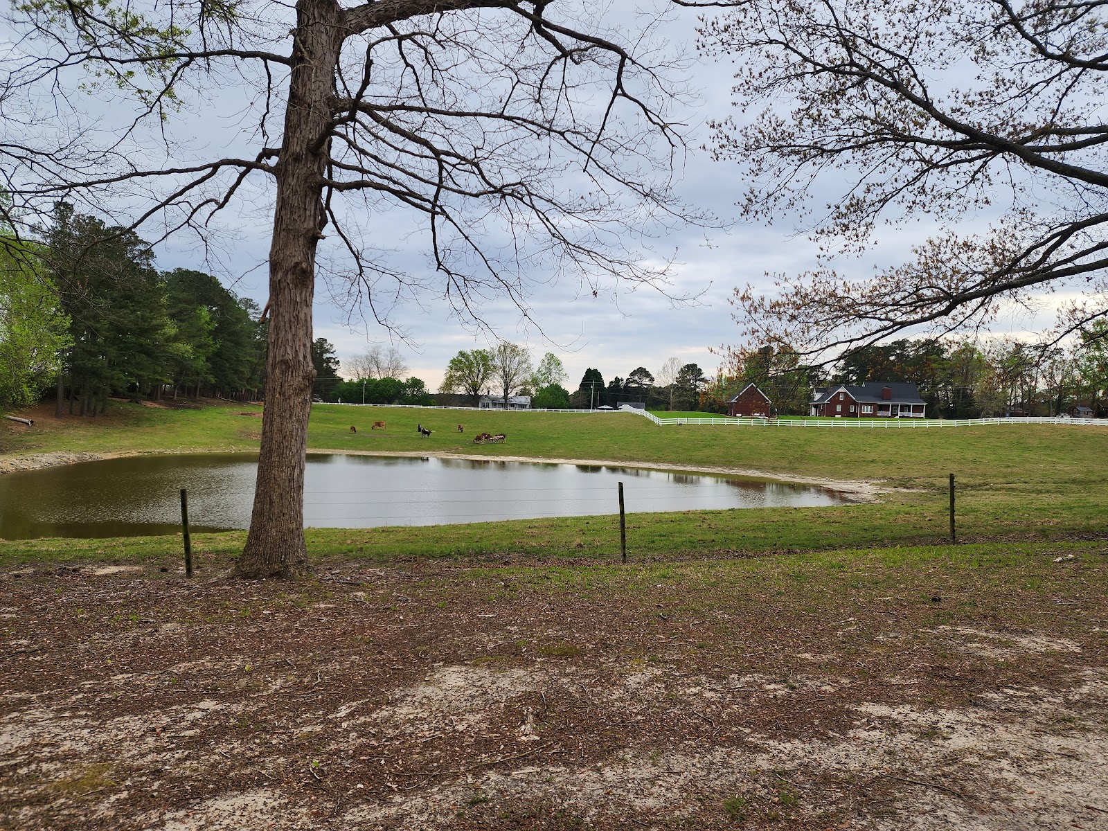 Rock Ridge Campground