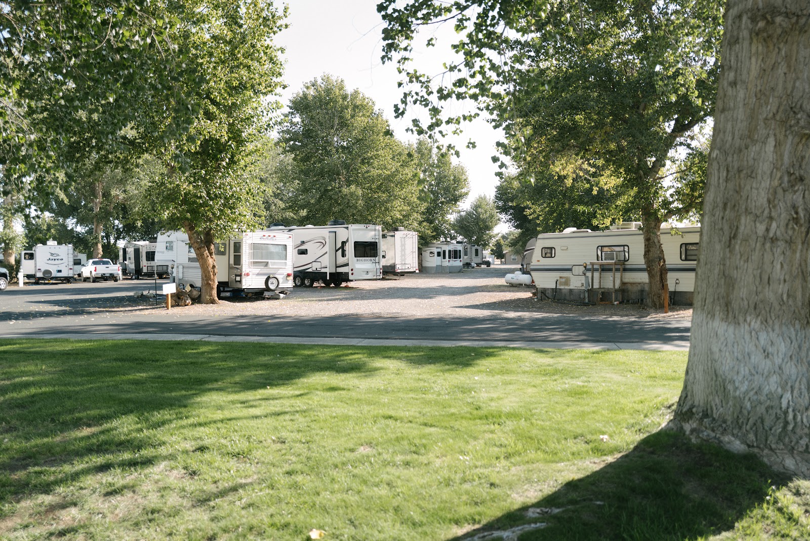 Driftwood RV Park & Resort