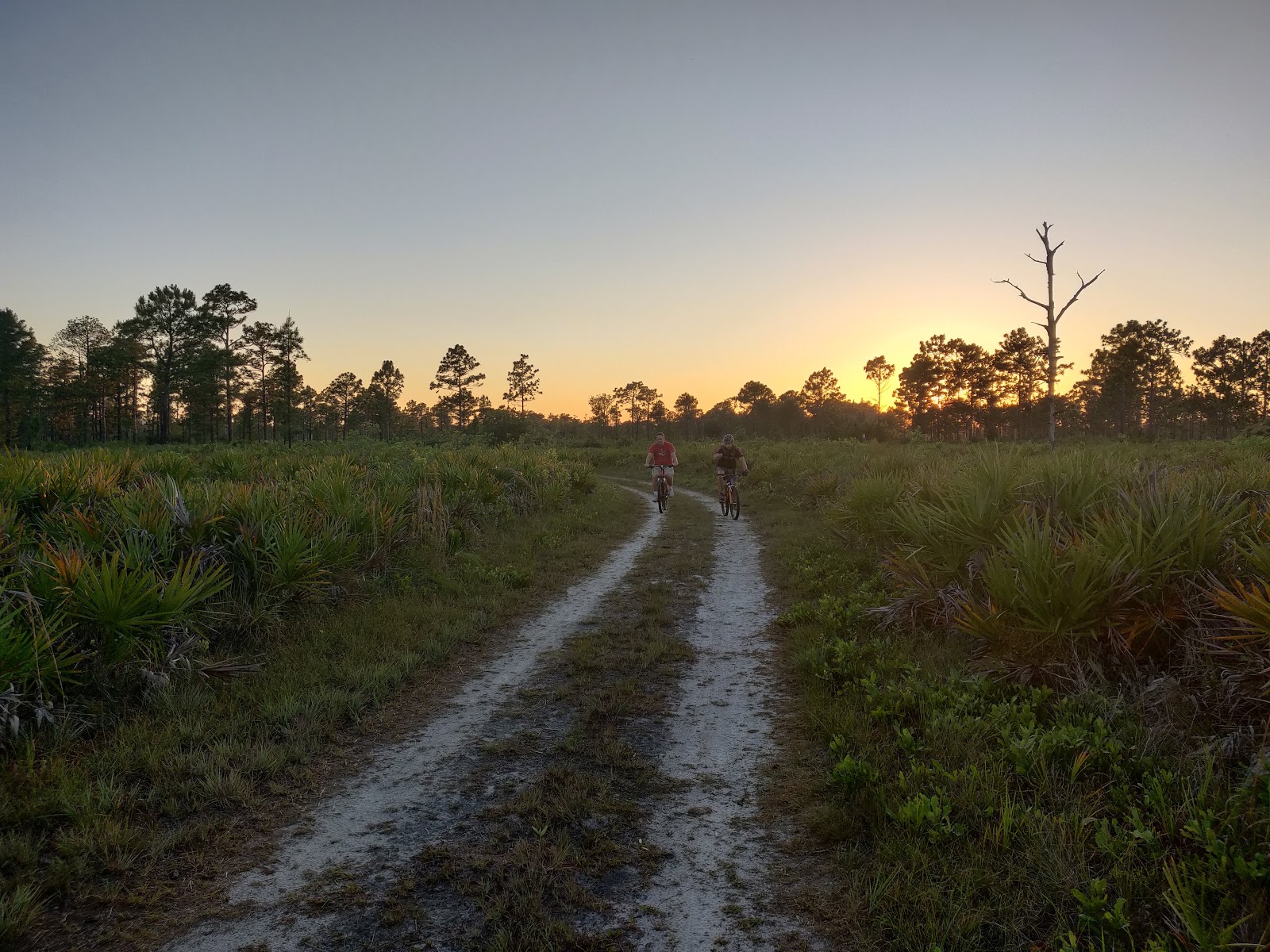 Hal Scott Preserve Primitive Campgrounds