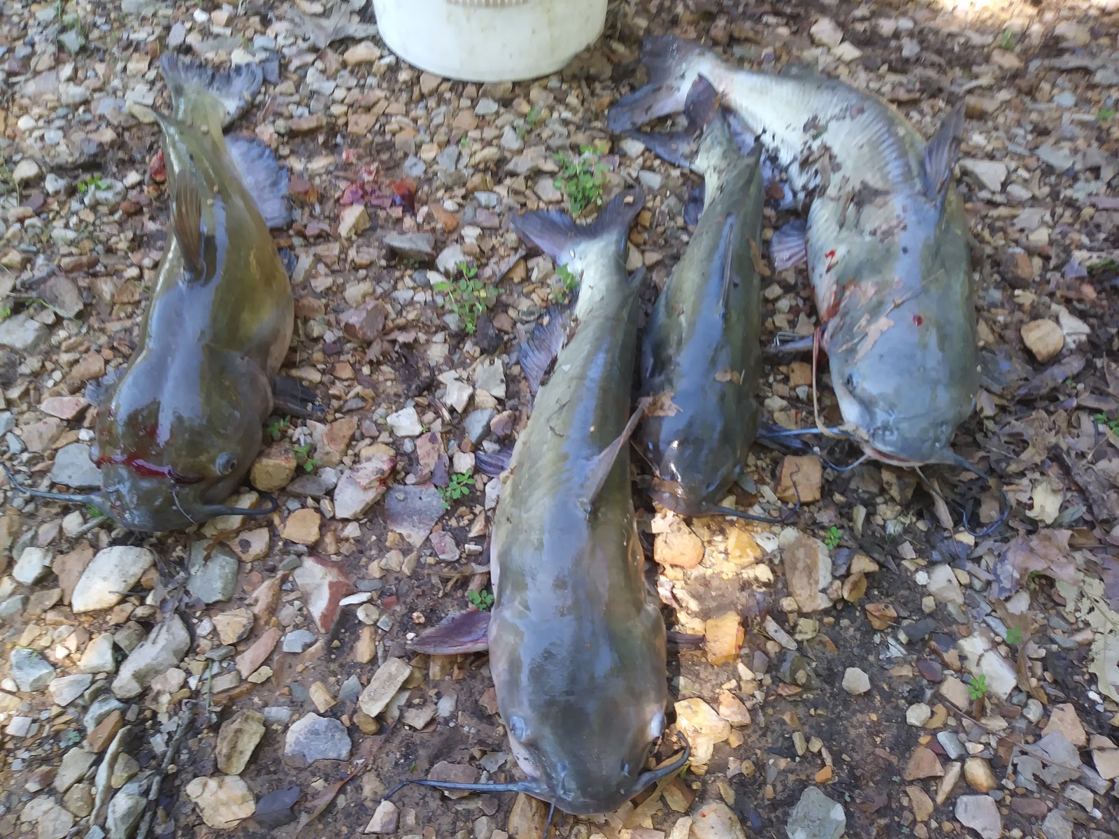 East Coffee Mill Lake Recreation Area