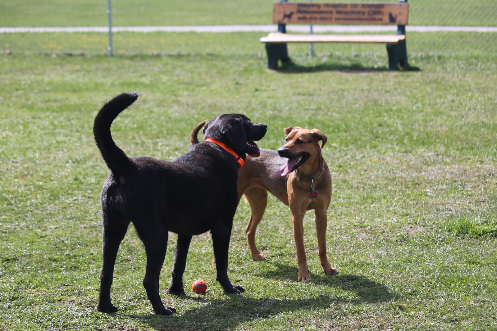Great Circle Campground