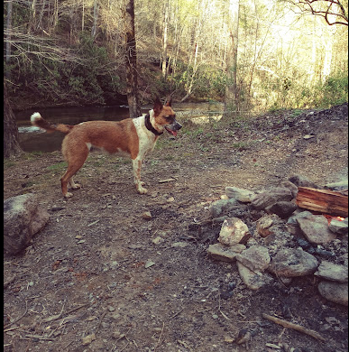 Lost Creek Recreation Area