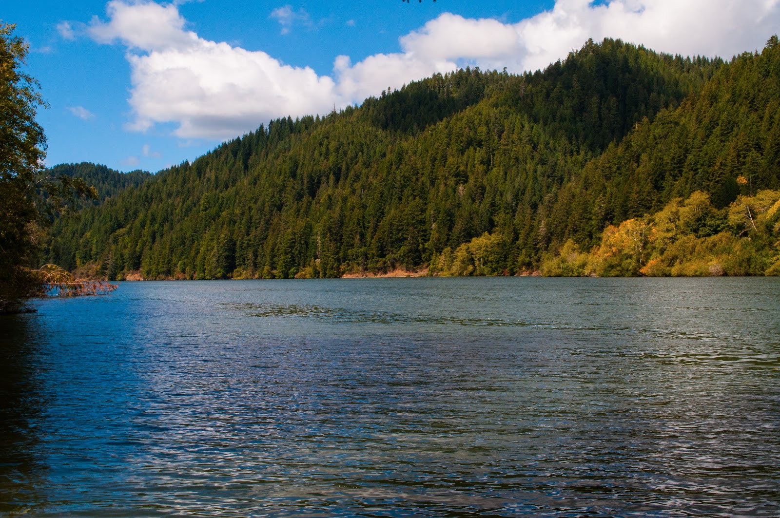 Tahkenitch Landing Campground