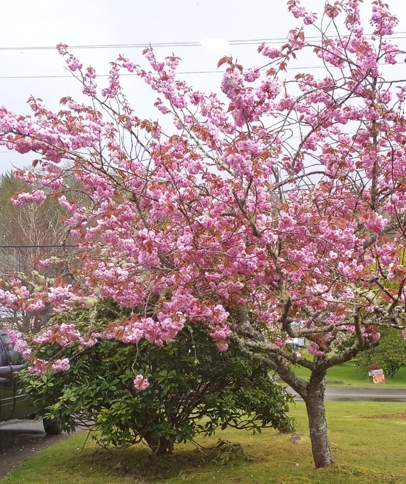 Kila Hana Camperland