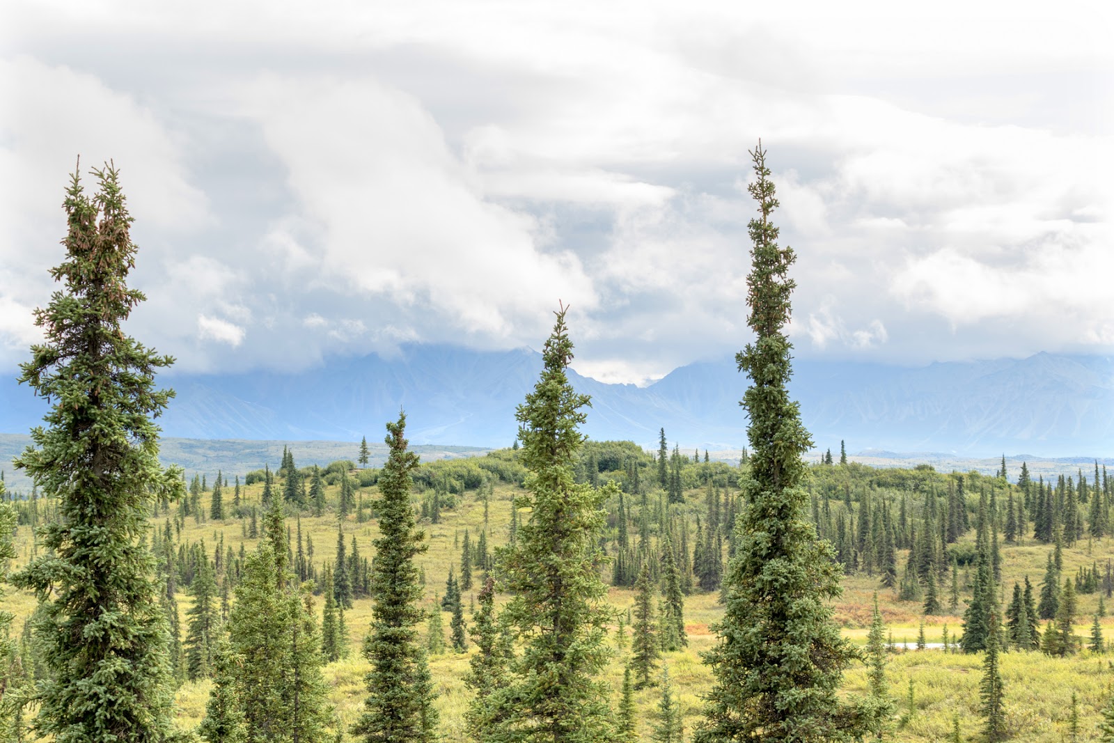 Wonder Lake Campground - Denali National Park