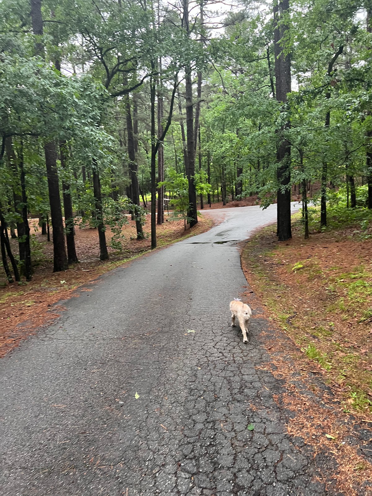 Burns Park RV Park and Campground