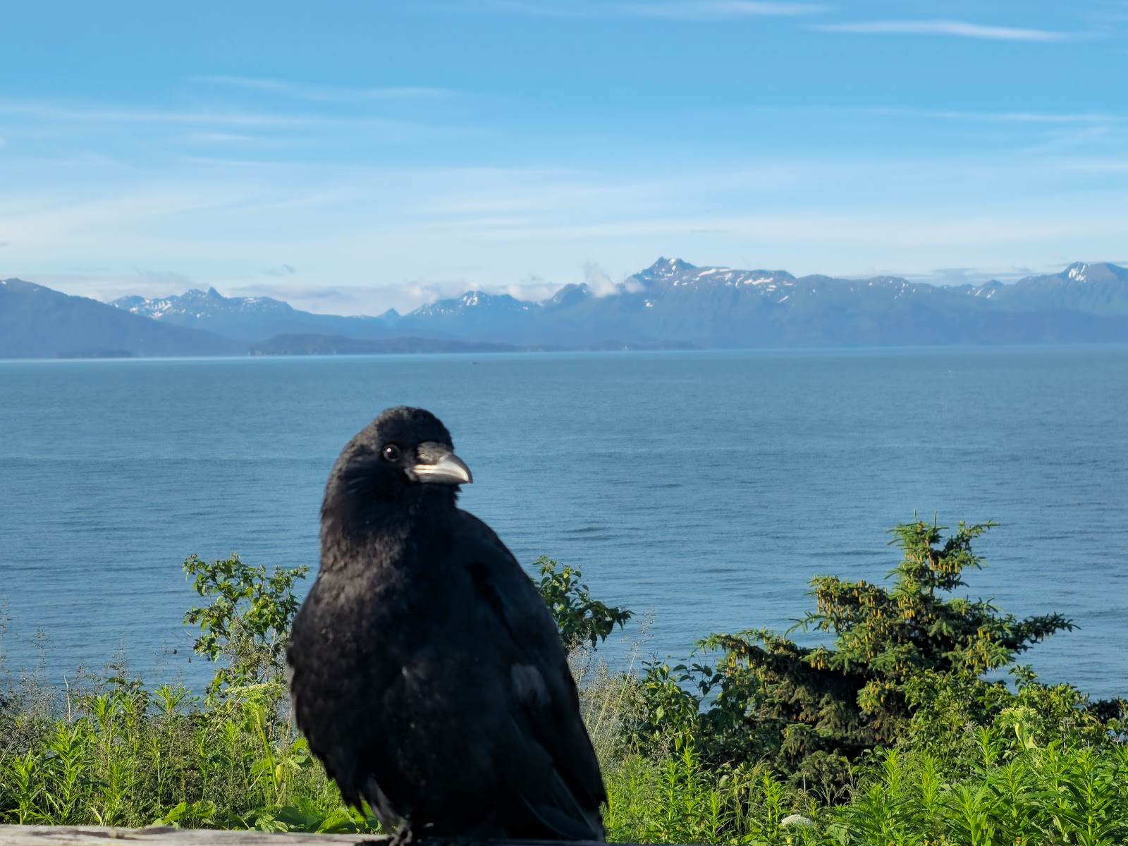 Ocean Shores RV Park