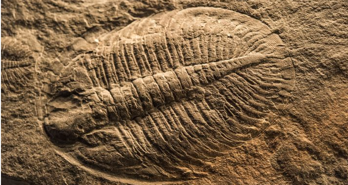 Falls of the Ohio State Park