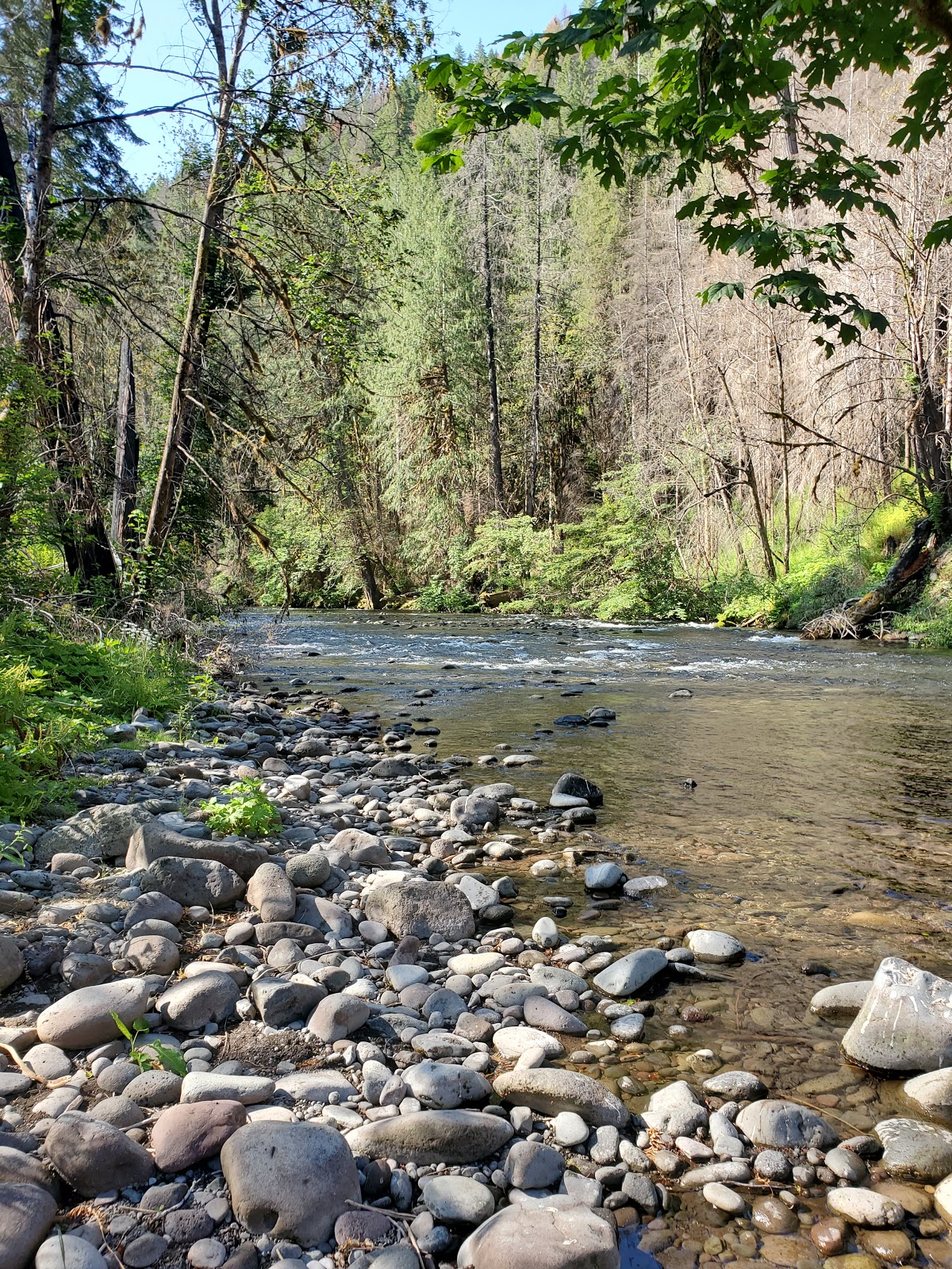 Hard Rock Group Campground
