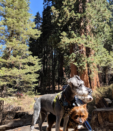 Upper Stony Creek Campground