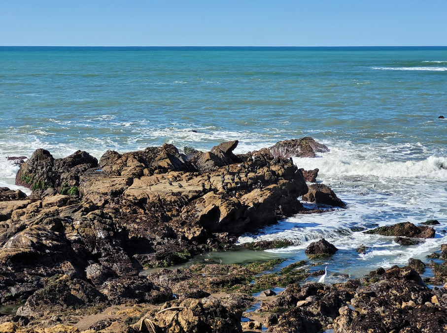 Hearst San Simeon State Park