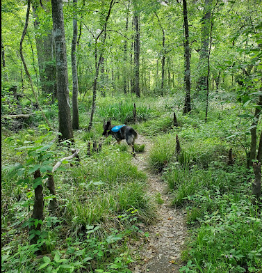 Acadiana Park Campground