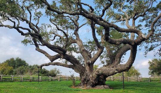 Goose Island State Park