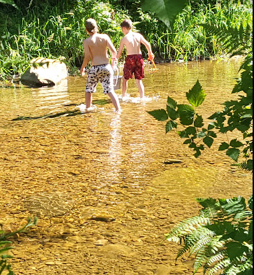 Archie Knowles Campground