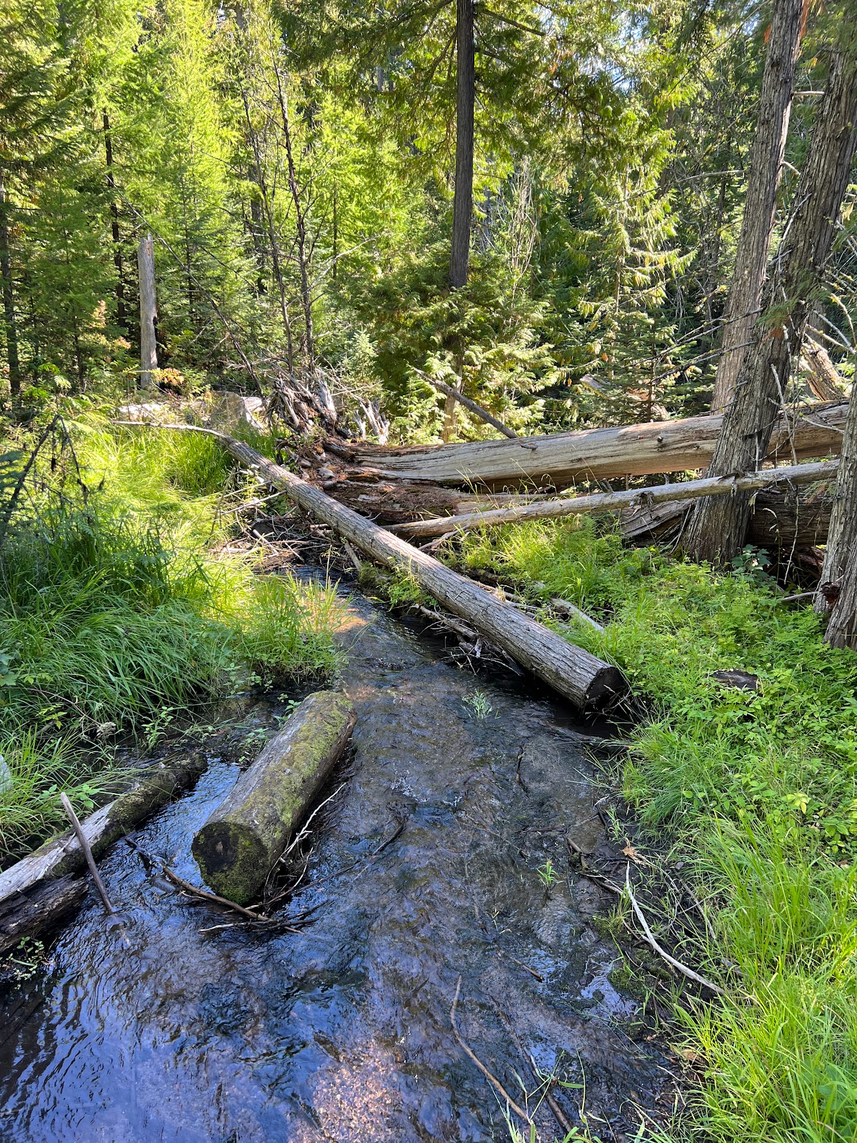 Eightmile Crossing Campground