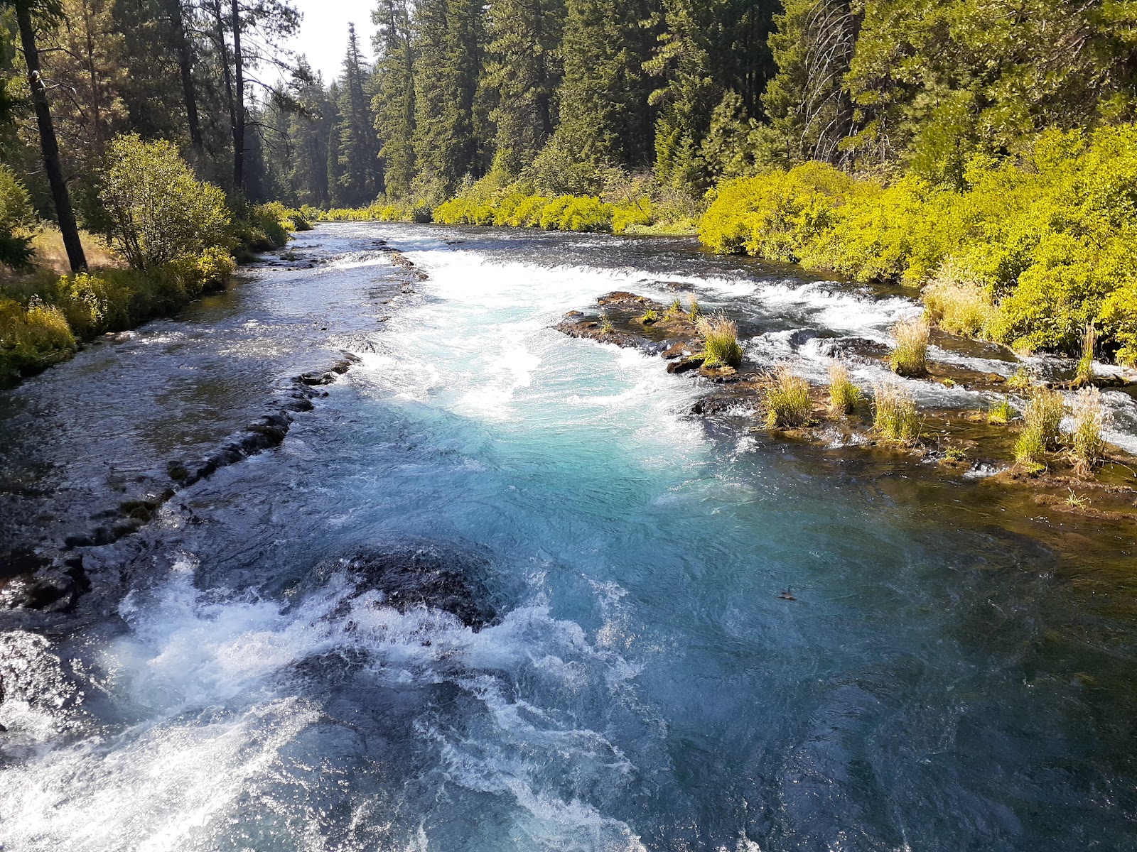 Allen Springs Campground