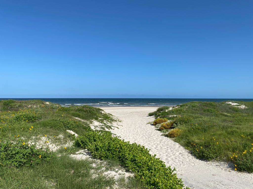 Malaquite Campground - Padre Island National Seashore