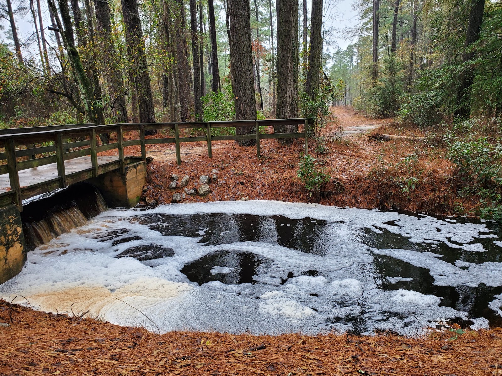 Singletary Lake State Park