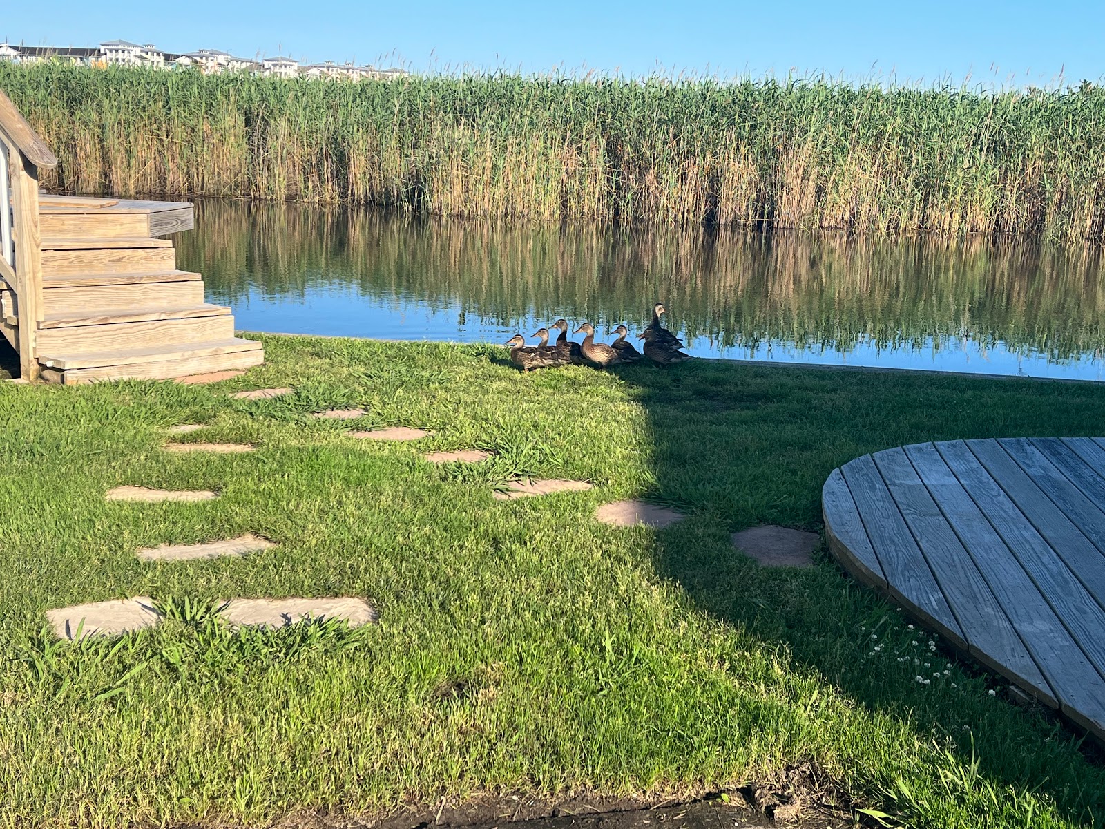 Outdoor Resorts RV Resort