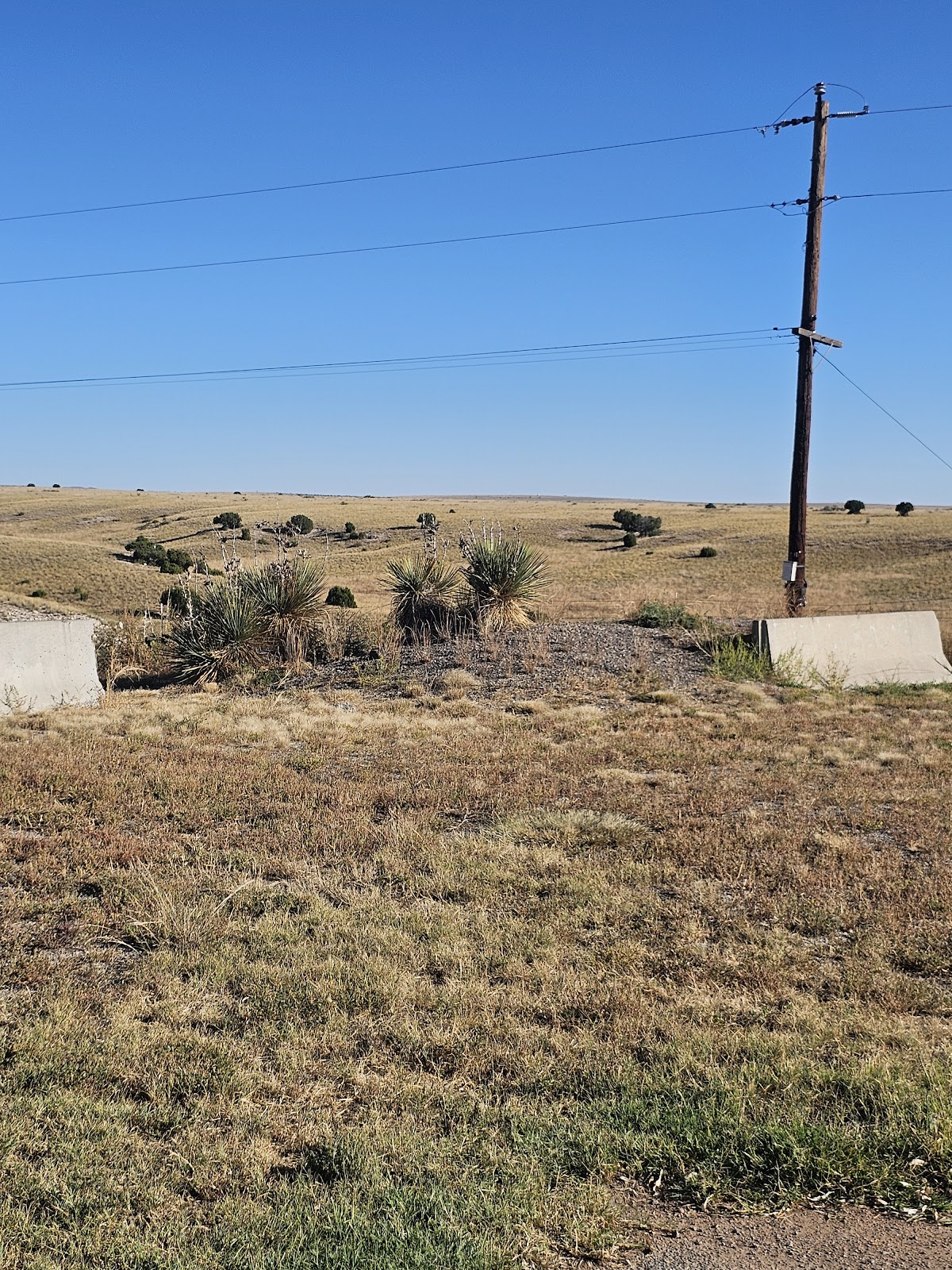 New Mexico Rest Area