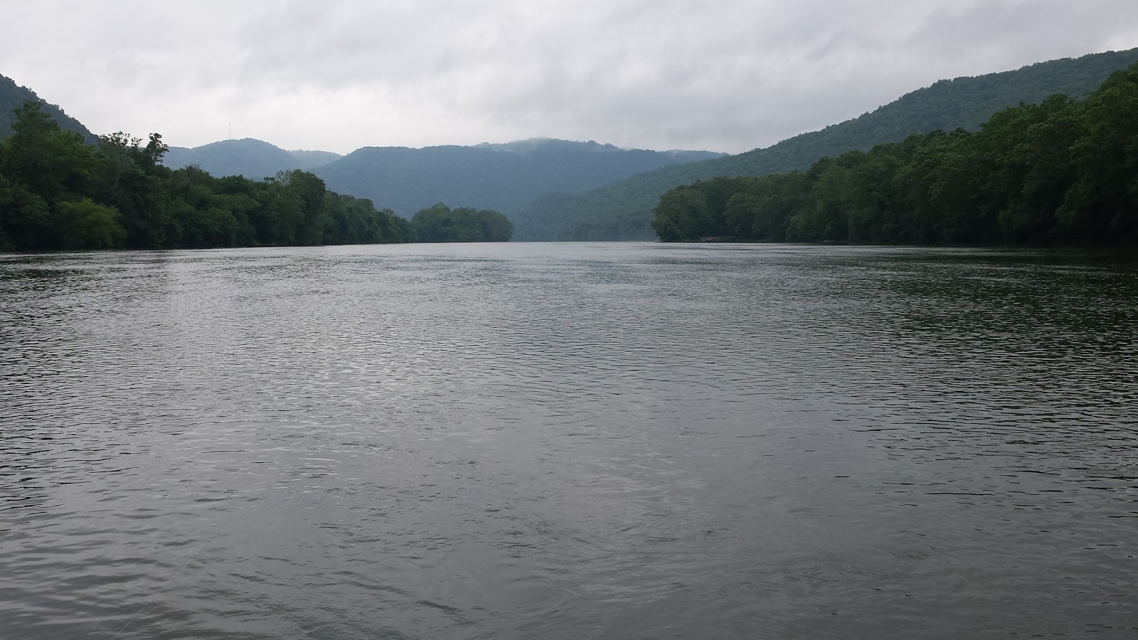 Bluestone Wildlife Management Area