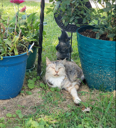 Manor Isle Mobile Home & Extended-Stay RV Park