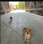 Nelson Dewey State Park