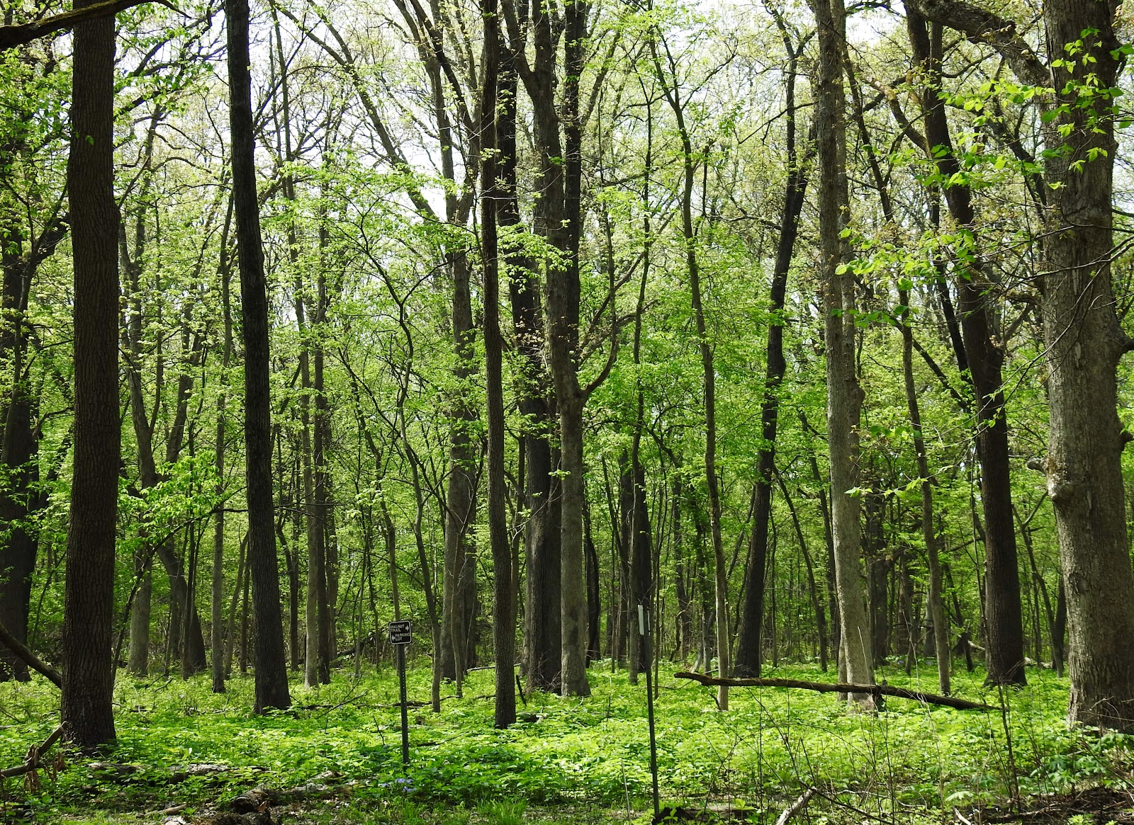 Marshall State Fish and Wildlife Area