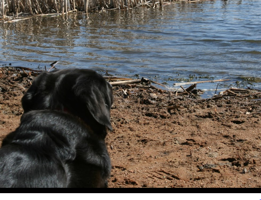 Split Rock County Park
