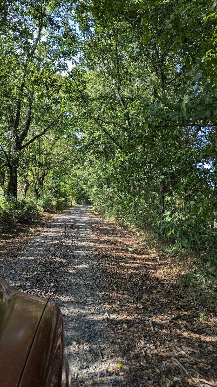 Ouachita River (Upper)