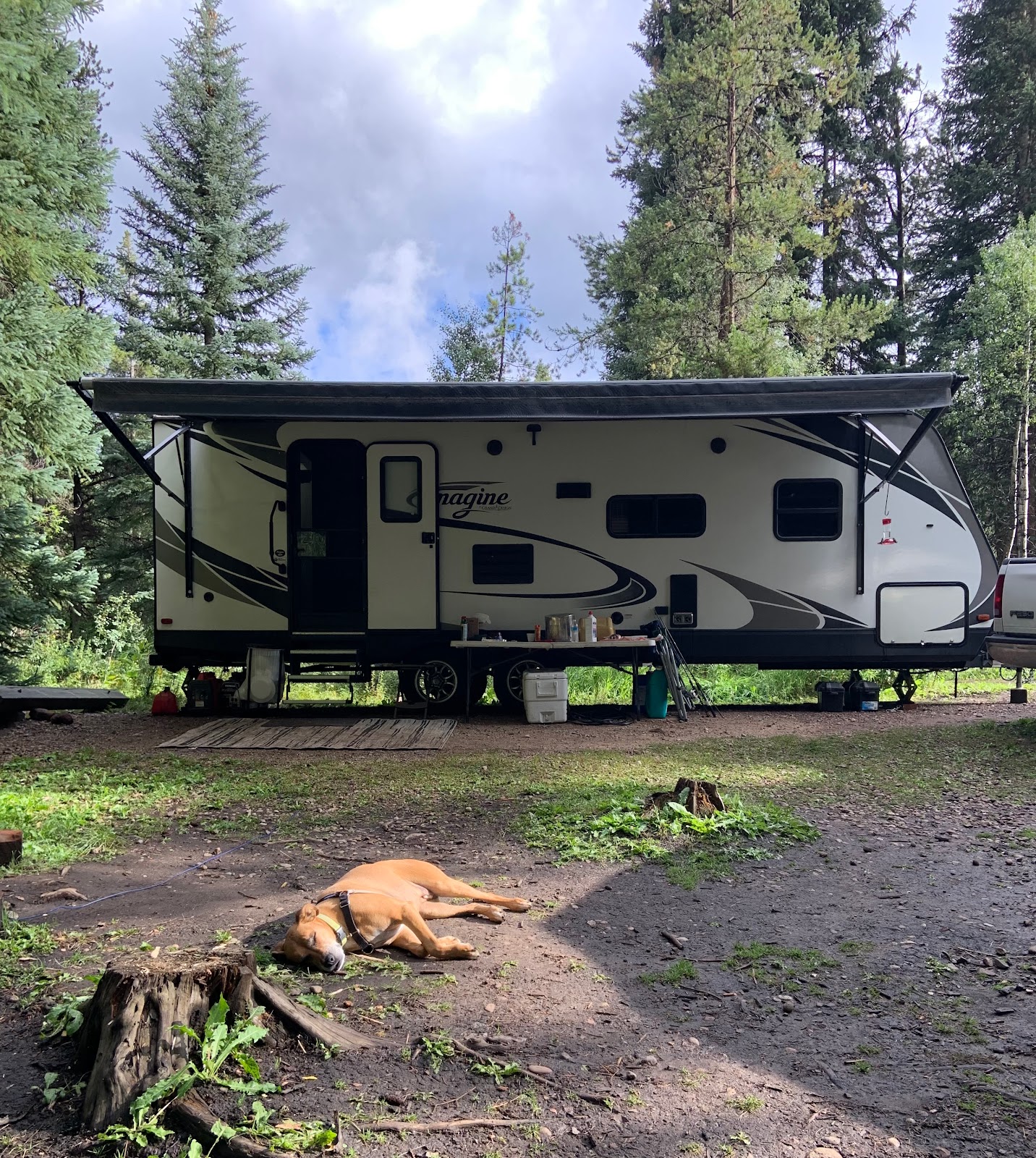 Chapman Campground