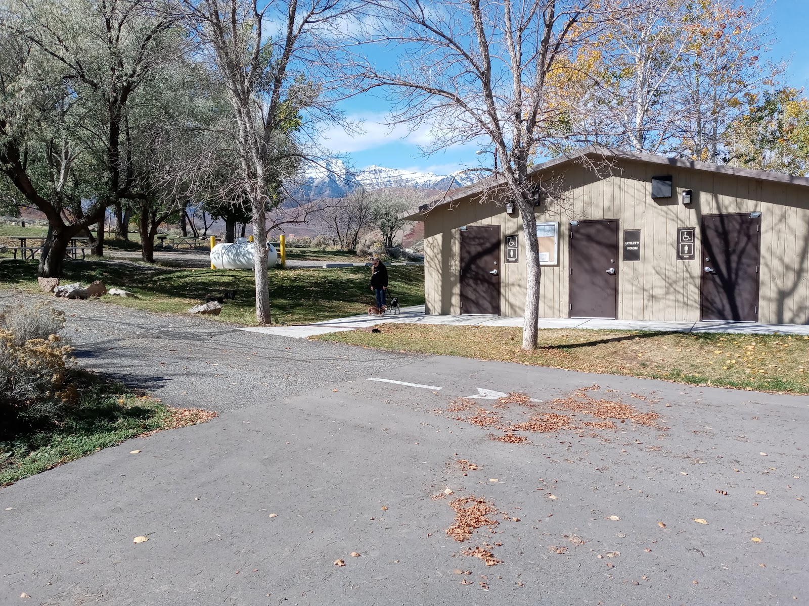 Great Horned Owl Campground