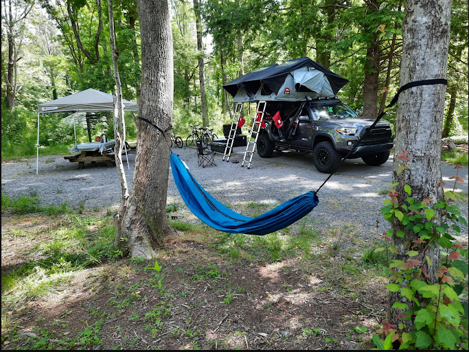 Davidson River Campground