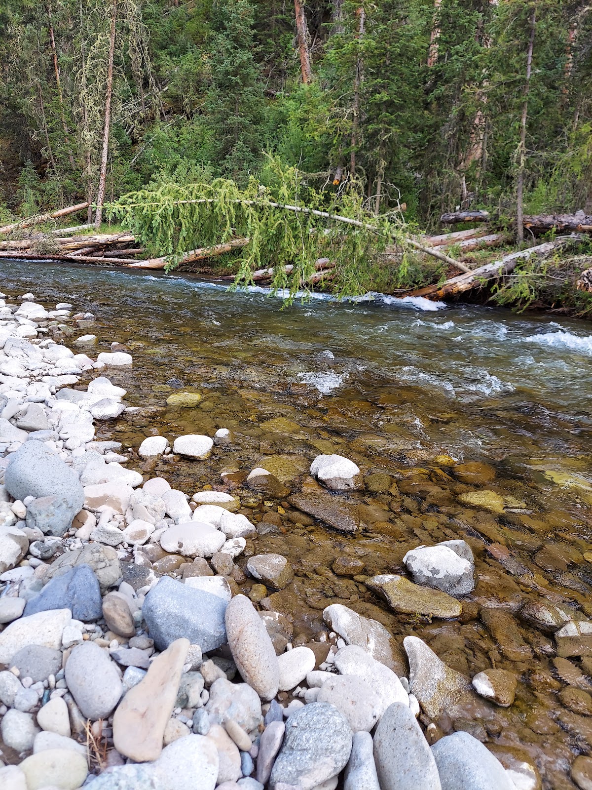 Wood River Campground