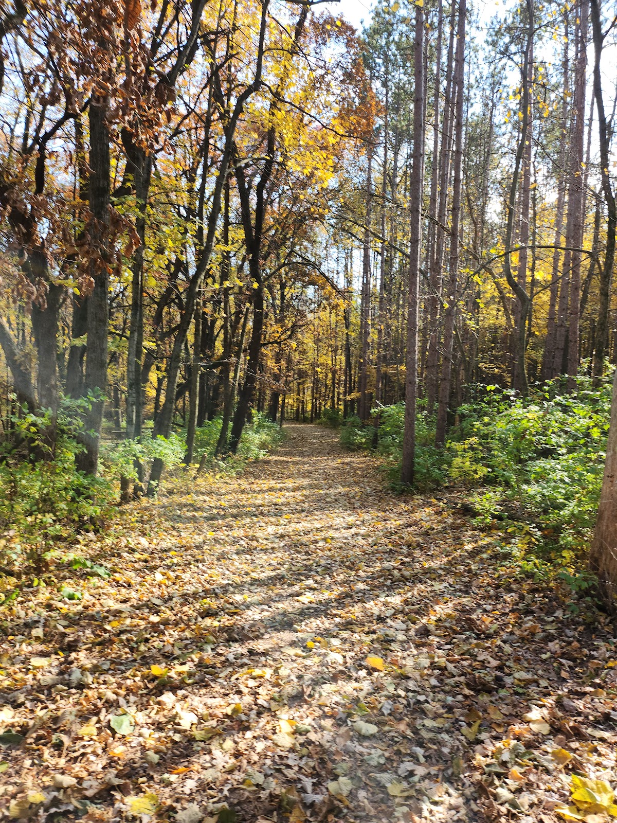 Family - Lake Le-Aqua-Na SRA